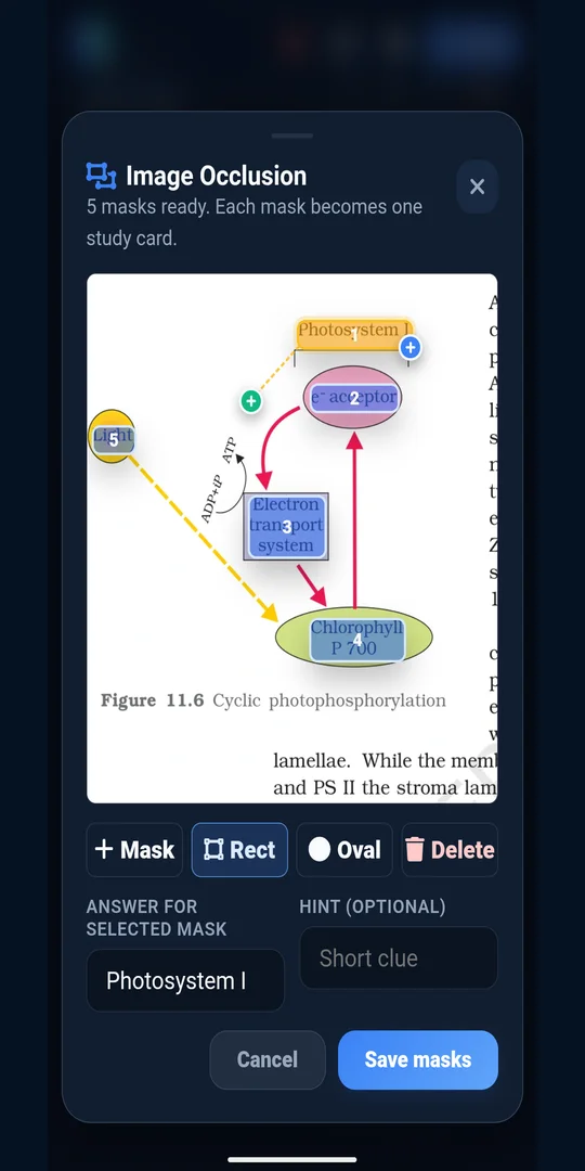 Erudite image occlusion editor creating study masks over a biology diagram